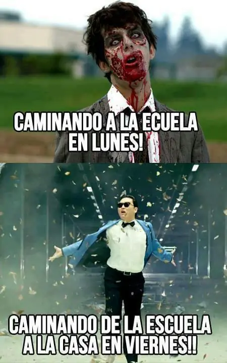 reflexion