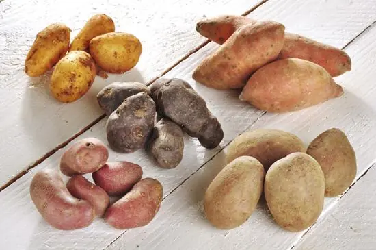 Los beneficios del boniato
