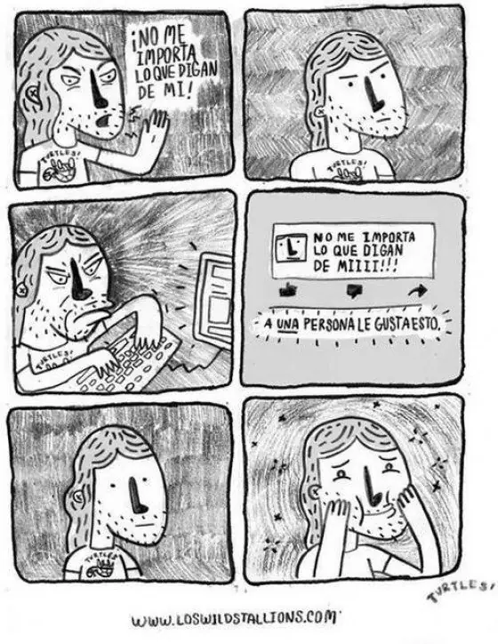 fotos