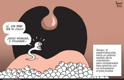 humor grafico argentino