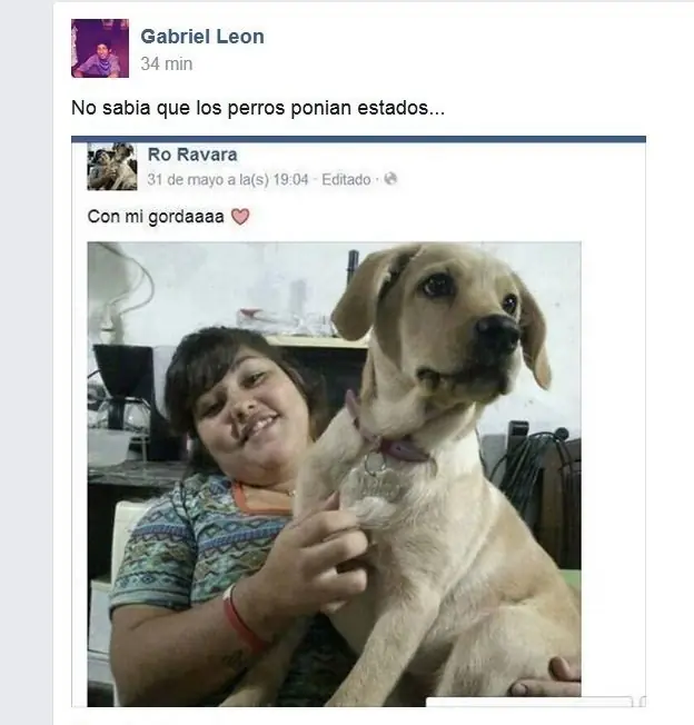 memes