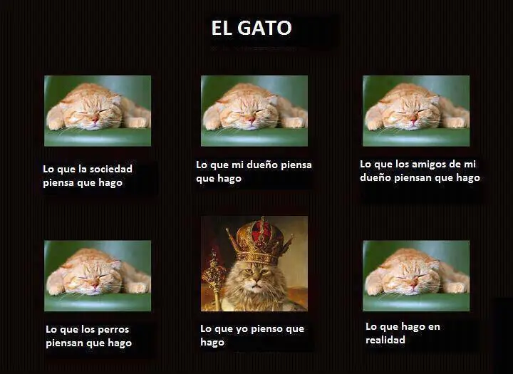 Chiste