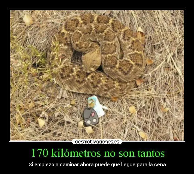 fotos
