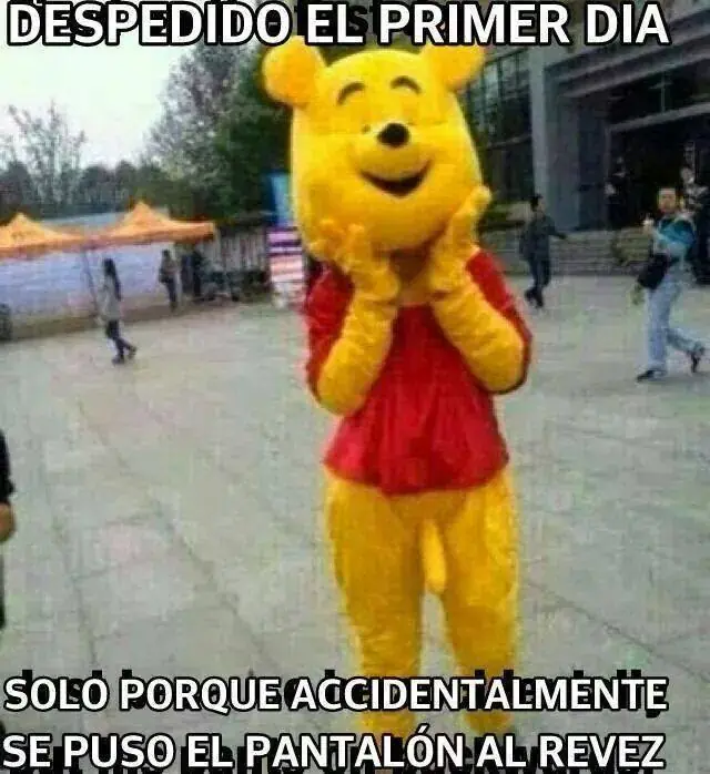 fotos