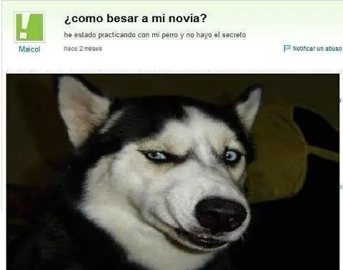 reirte