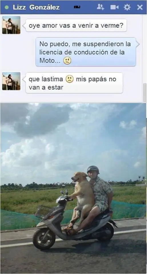 imagenes