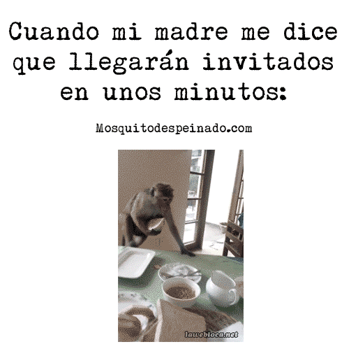 memes