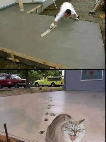 humor