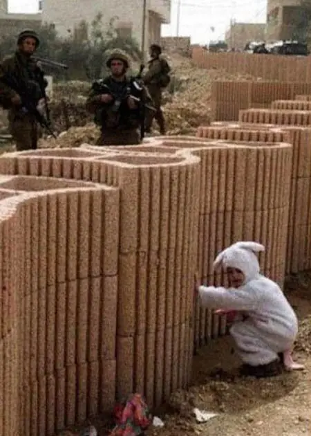 imagenes divertidas