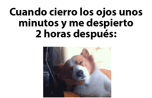 reirte