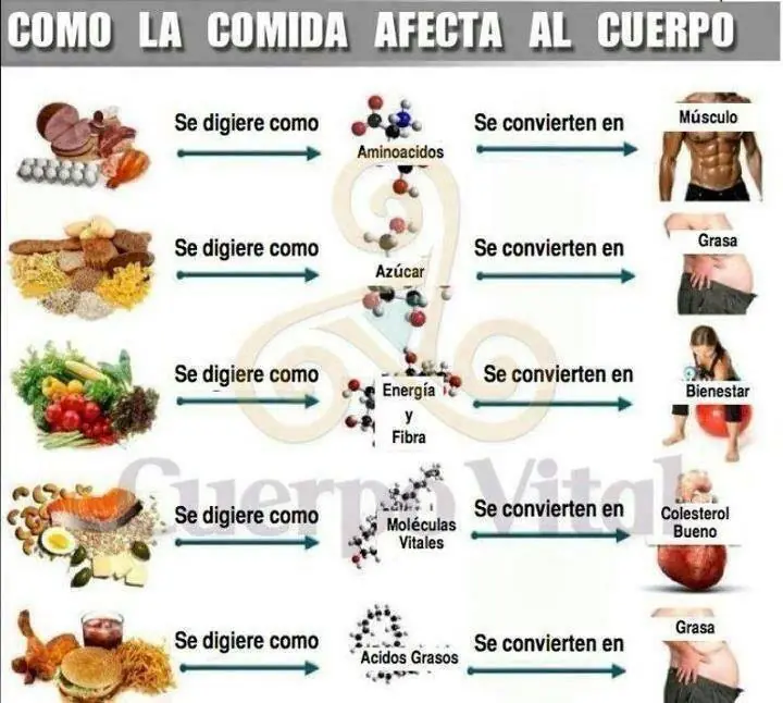 gracioso