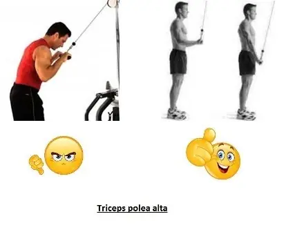 ejercicios gimnasio