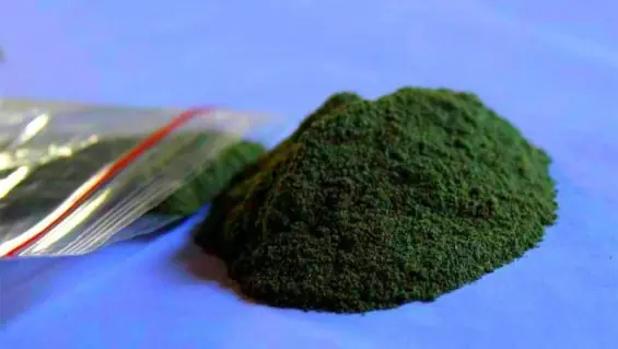 Kratom, la (vieja) nueva droga que podría sacudir 2015
