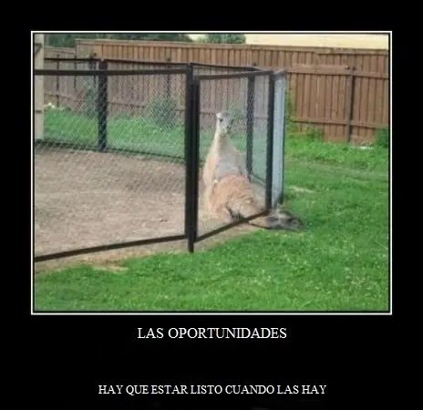 desmotivadores