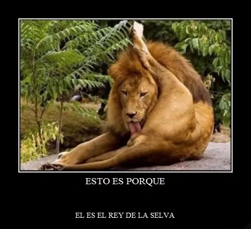 humor