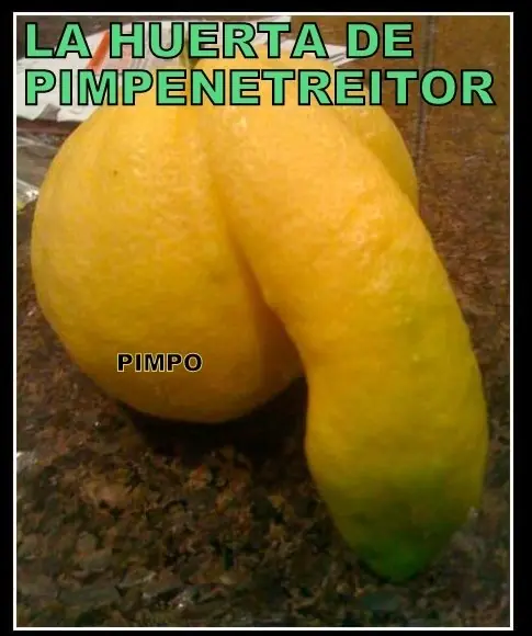 risas