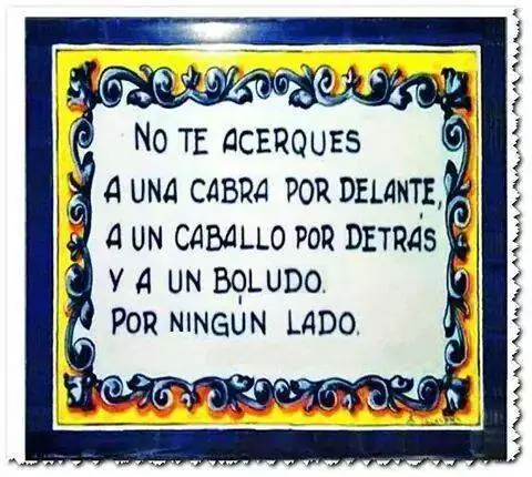 Humor Grafico