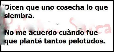 humor