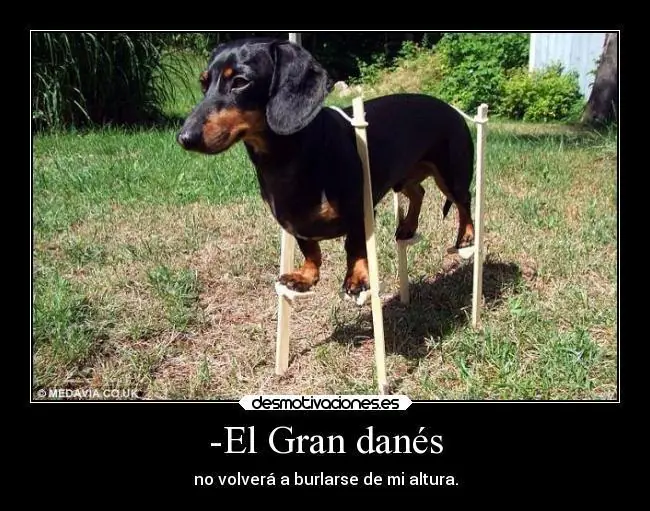 Humor Grafico