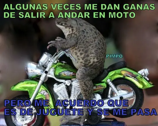 humor