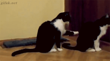 Mega Gifs #2