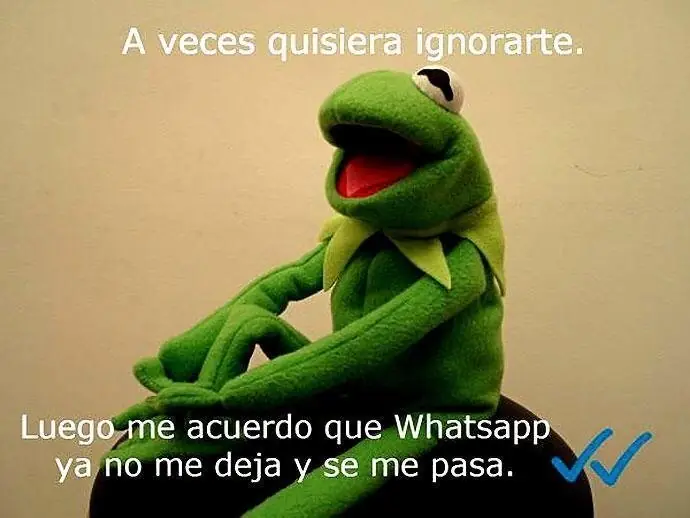 pensamientos