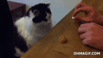 Mega Gifs #2