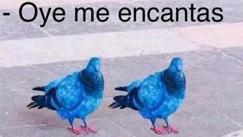 risas