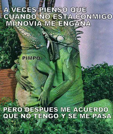 humor