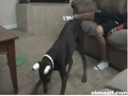 Mega Gifs #2