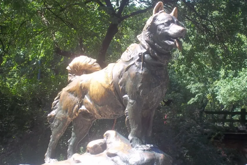 perros que pasaron a la historia por su hazaña