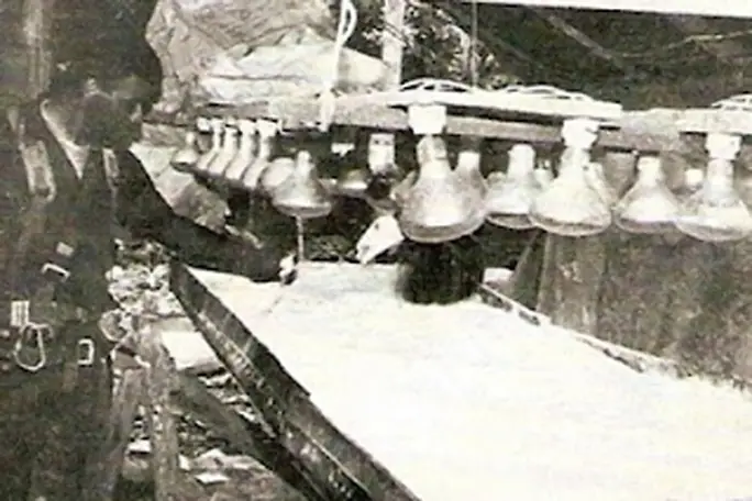 el patron