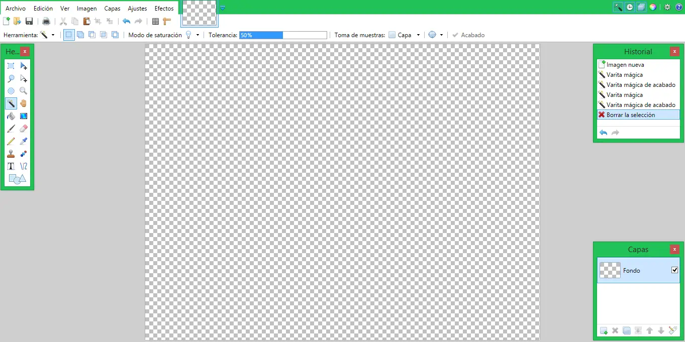 paintnet