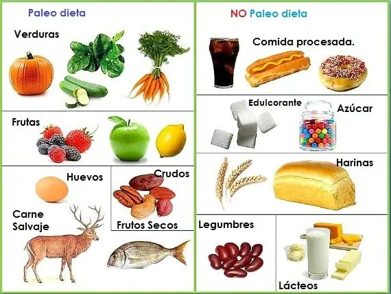 dieta