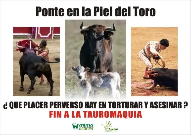toro y pampa toro y pampa