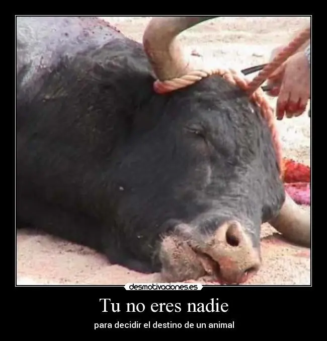tauromaquia en argentina tauromaquia en argentina