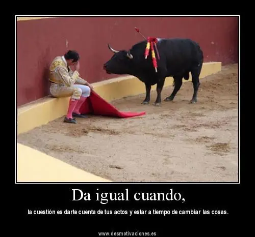 toro y pampa toro y pampa
