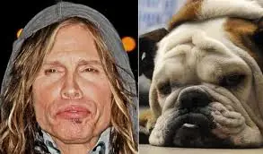 Los dobles de los famosos