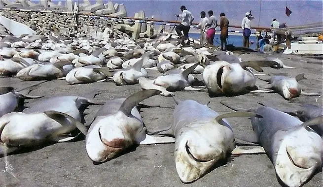 extintos