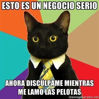 Meme - Bussines Cat