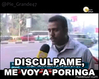 palabras que no entiendo de taringa como lince