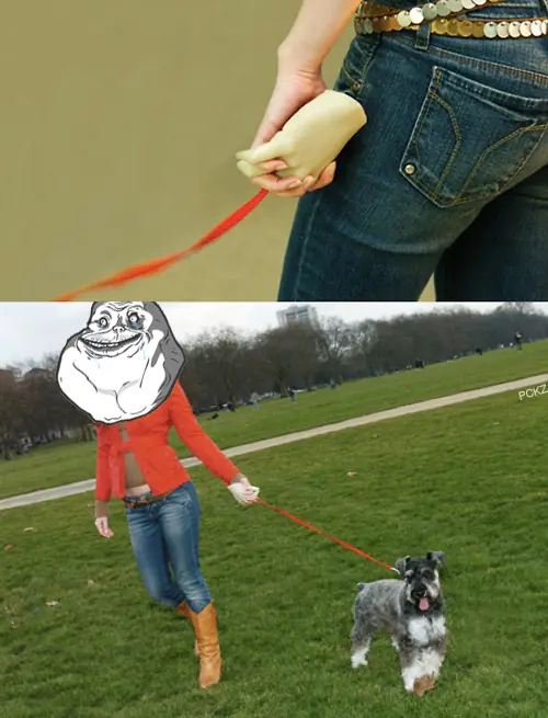 memes