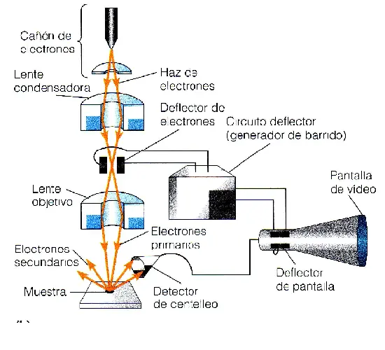 Residuos de Polvora