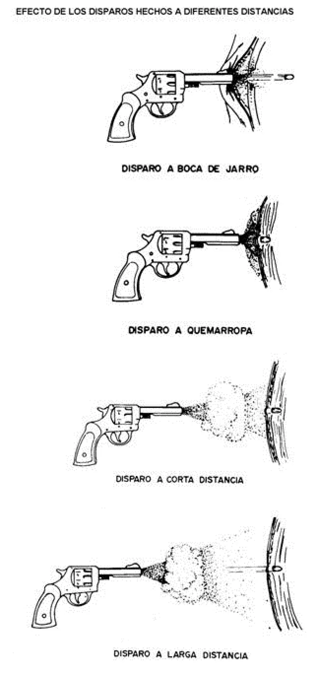Actualidad