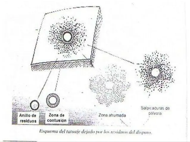 Casos