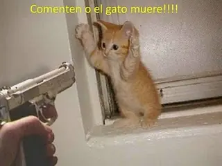 top top