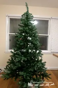 árbol