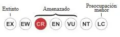 animales en extincion