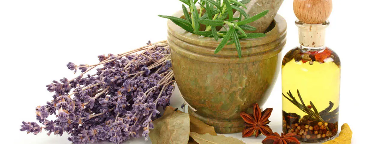 Plantas medicinales y sus usos