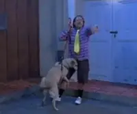 Pepe Argento, El Post Que Se Merece
